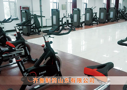 ​谈球吧官方网站体育为齐鲁制药呼和浩特分公司打造健身房
