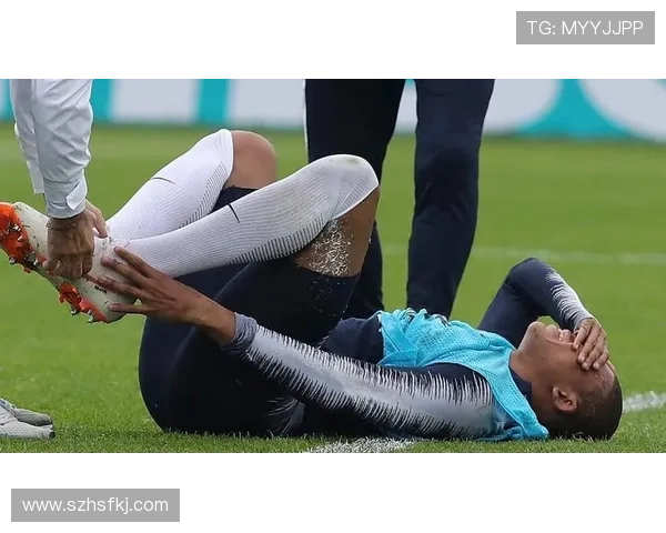 梅赫伦球员表现