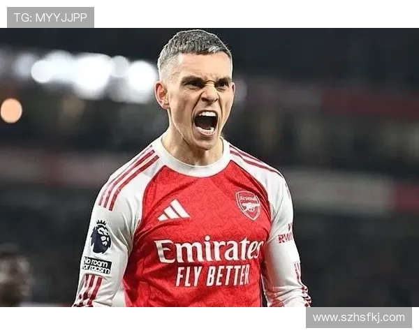 特罗萨德在俱乐部的角色演变:从主力到战术拼图